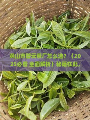 黄山市碧云茶厂