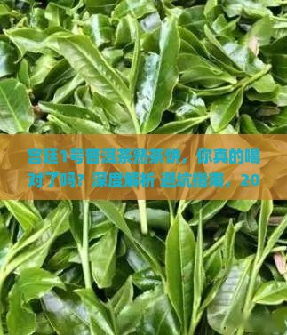 宫廷1号普洱茶熟茶饼