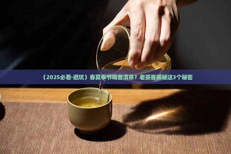 普洱茶叫春夏茶