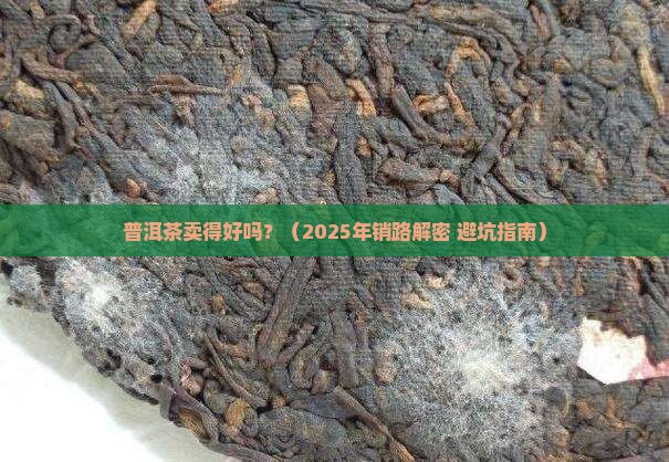 普洱茶销路好吗