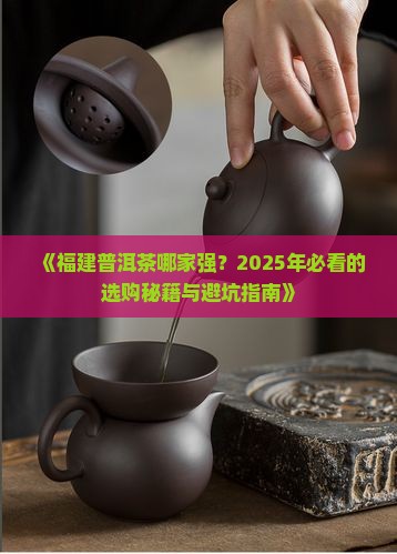 福建普洱茶哪家强些