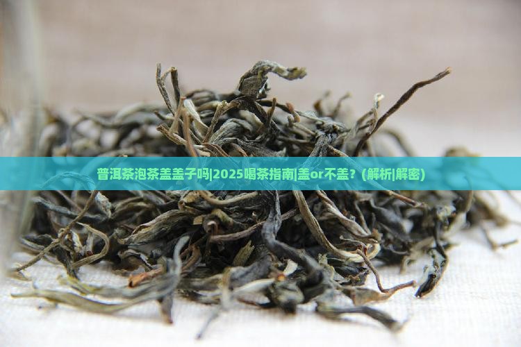 普洱茶泡茶盖盖子吗