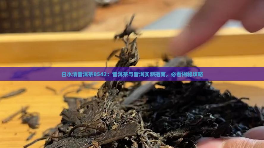 白水清普洱茶8542