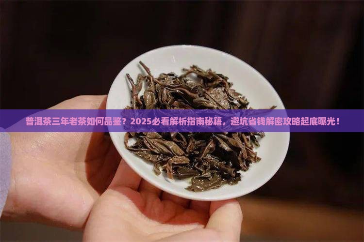 普洱茶三年老茶