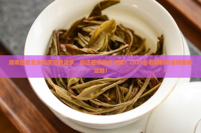 潮南区老五乡同庆号普洱茶