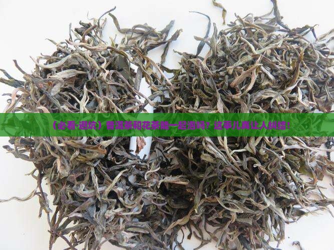 普洱茶和花茶能一起泡吗