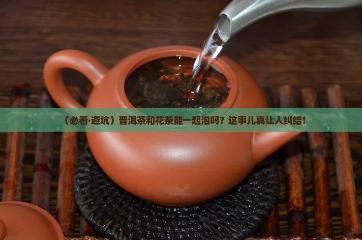 普洱茶和花茶能一起泡吗