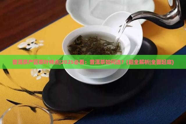 普洱茶产区茶叶特点 普洱茶产区茶叶特点