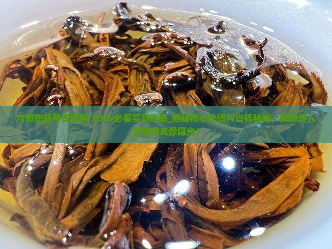 六南新益号普洱茶
