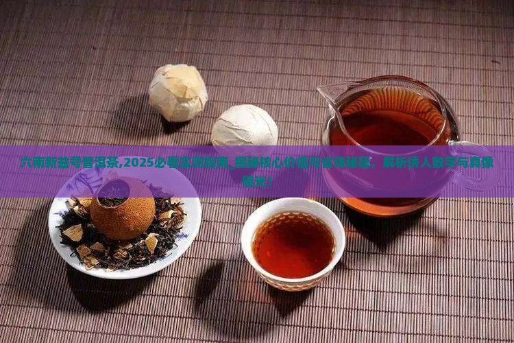 六南新益号普洱茶