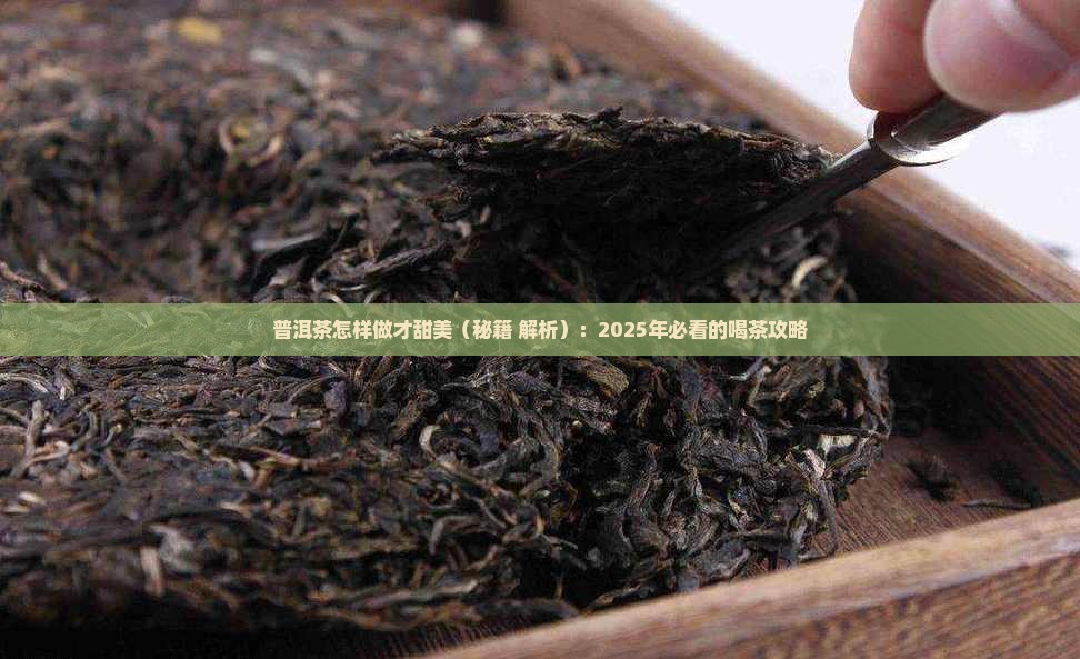 普洱茶怎样做才甜美