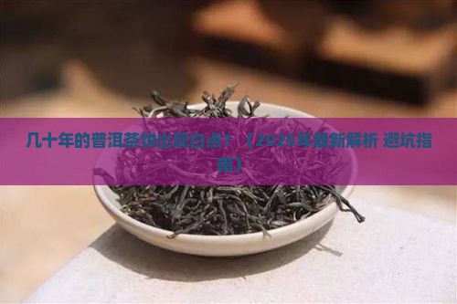 几十年的普洱茶饼有白点