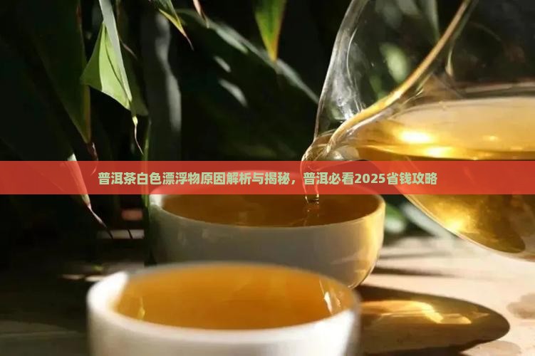 普洱茶有白色颗粒漂浮物