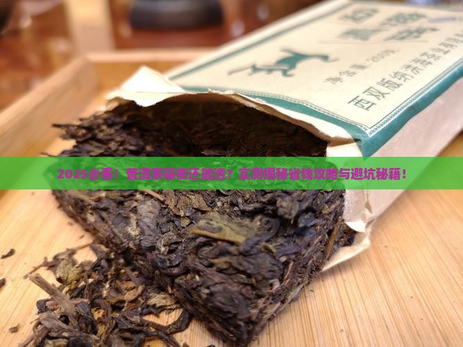 普洱茶可以第二天泡吗