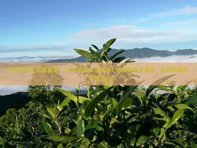老班章与如意普洱茶