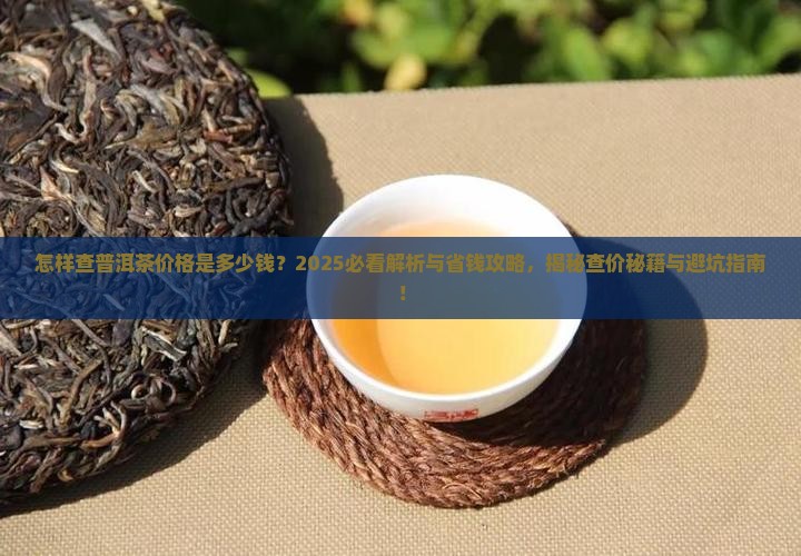 怎样查普洱茶价格是多少钱