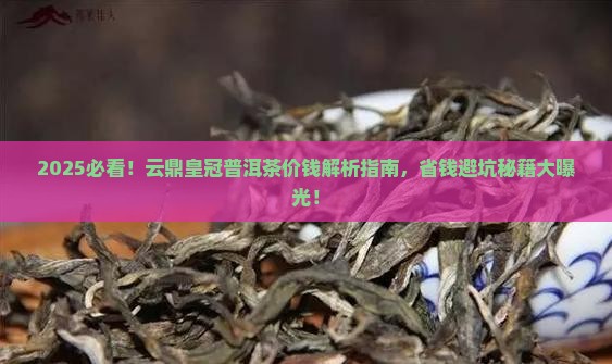 云鼎皇冠普洱茶价钱