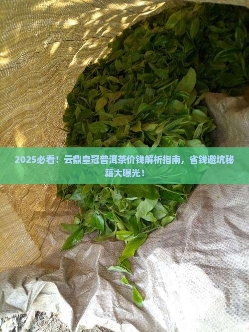 云鼎皇冠普洱茶价钱