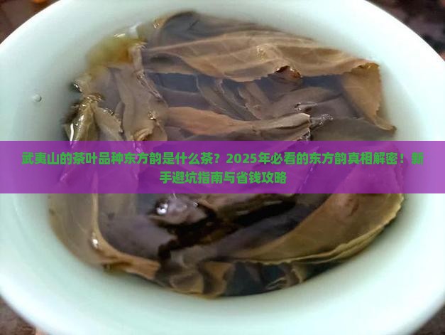 武夷山的茶叶品种东方韵是什么茶