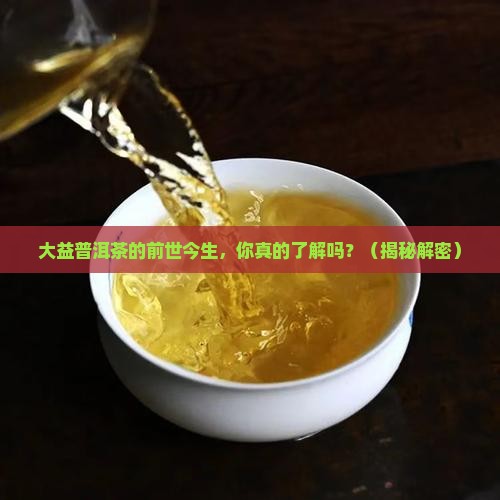 大益普洱茶的前身