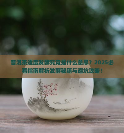 普洱茶适度发酵是什么意思