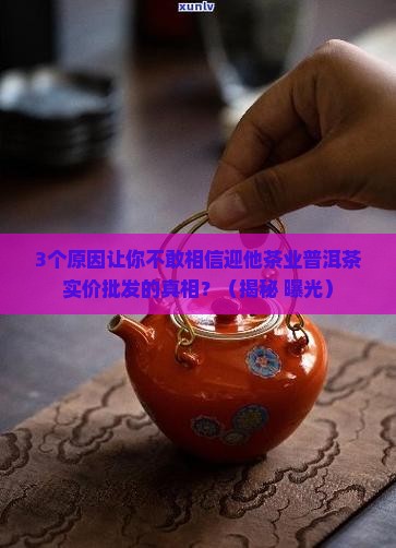 迎他茶业普洱茶实价批发