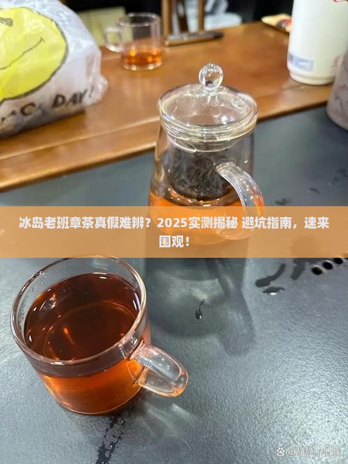 冰岛老班章茶真假