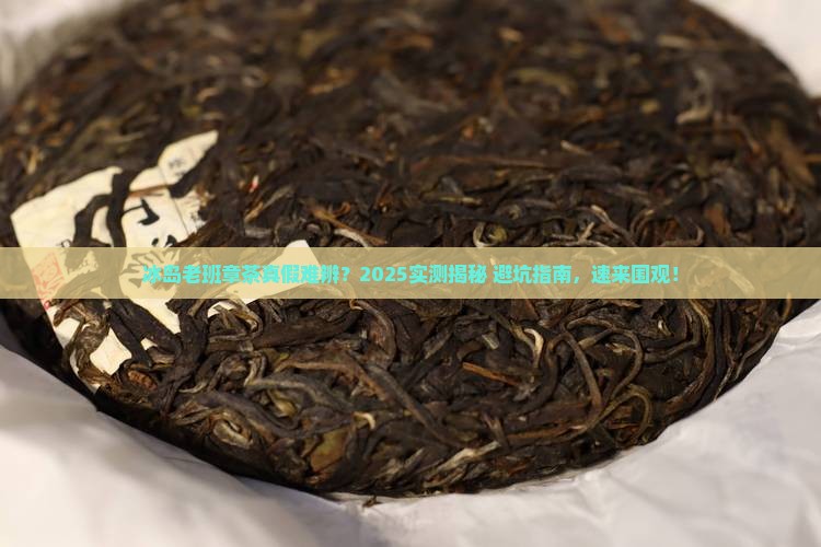 冰岛老班章茶真假