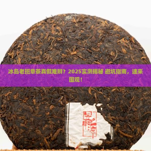 冰岛老班章茶真假