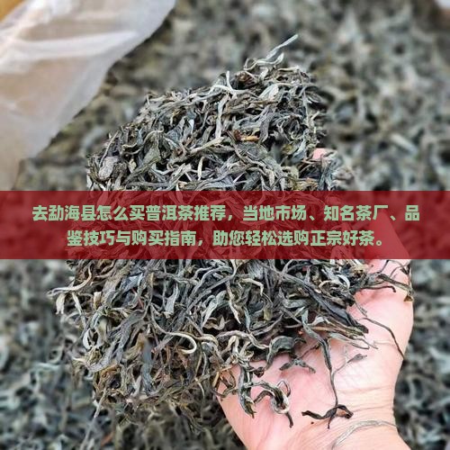 去勐海县怎么买普洱茶推荐