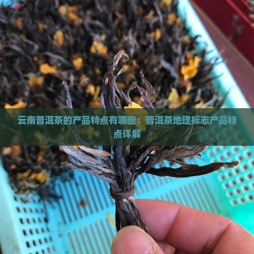 云南普洱茶的产品特点有哪些