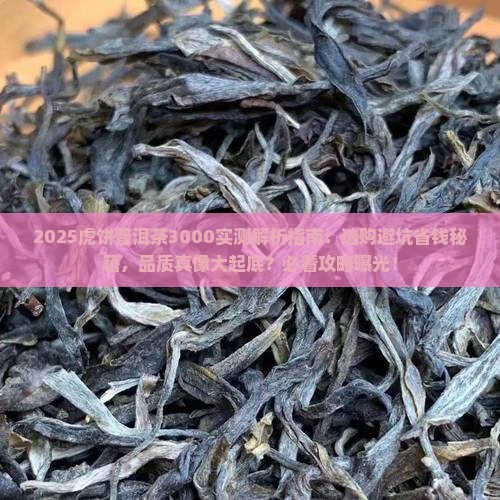 虎饼普洱茶3000