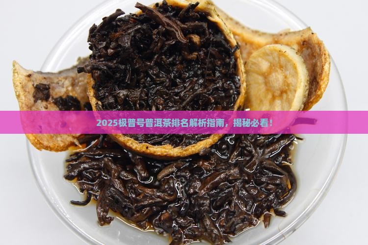极普号普洱茶排名