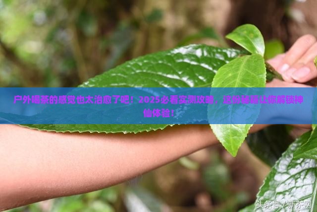 户外喝茶的感觉
