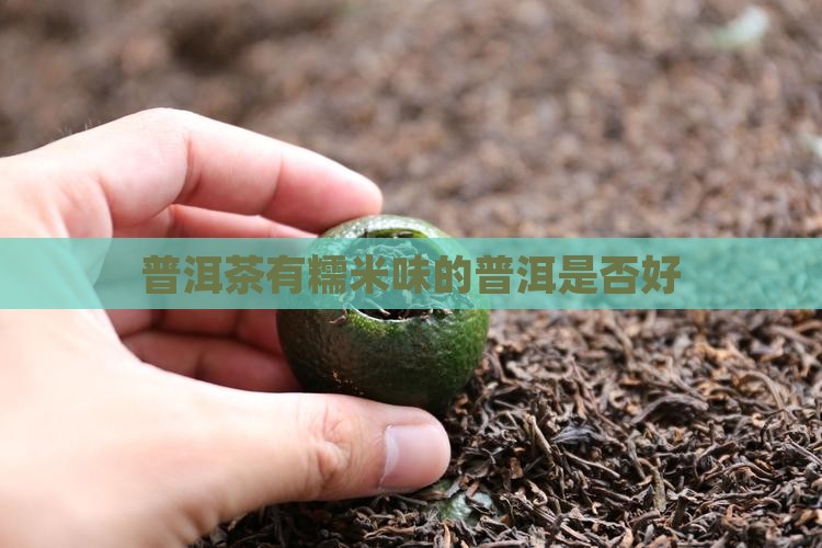 普洱茶有糯米味的好吗
