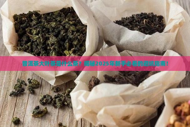 普洱茶大叶茶是什么茶