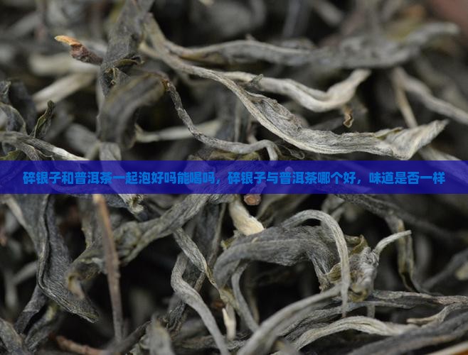 碎银子和普洱茶一起泡好吗