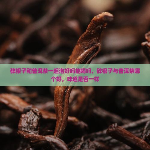碎银子和普洱茶一起泡好吗