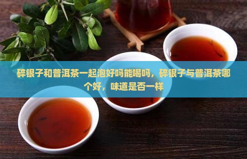 碎银子和普洱茶一起泡好吗