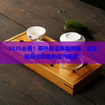 什么茶叶可以祛湿