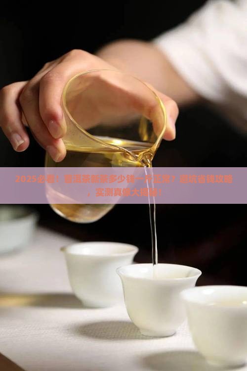 普洱茶新茶多少钱一斤正常