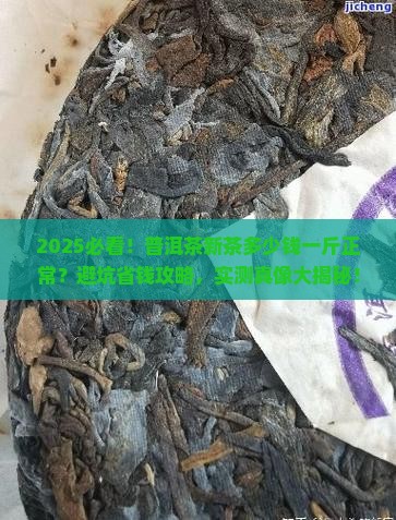 普洱茶新茶多少钱一斤正常