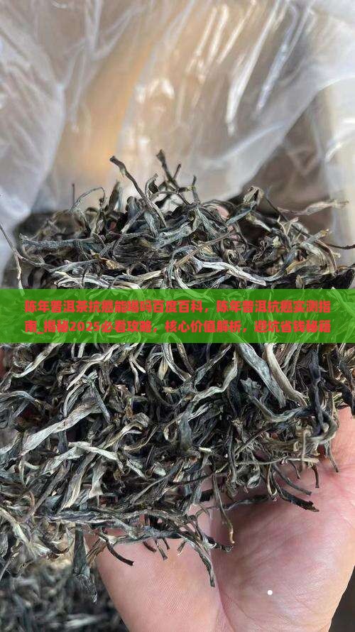 陈年普洱茶抗癌能喝吗百度百科