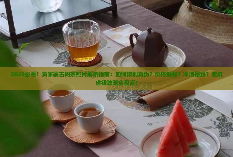 黄家寨古树茶照片