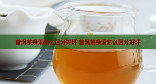普洱茶条索怎么区分好坏