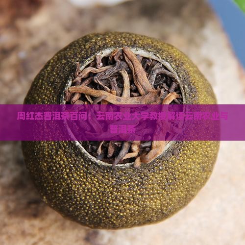 周红杰普洱茶百问