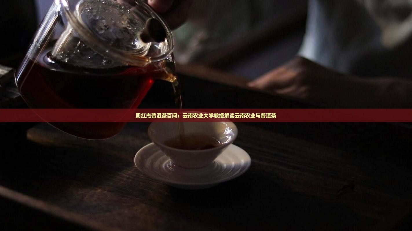 周红杰普洱茶百问