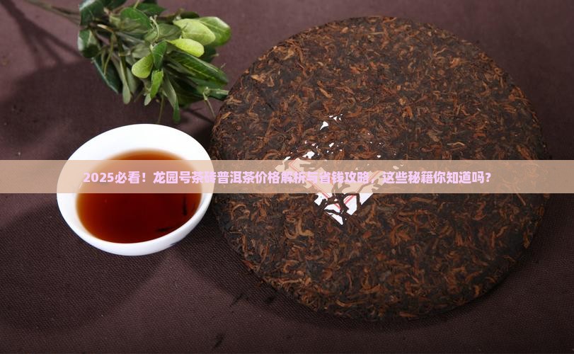 龙园号茶砖普洱茶价格查询