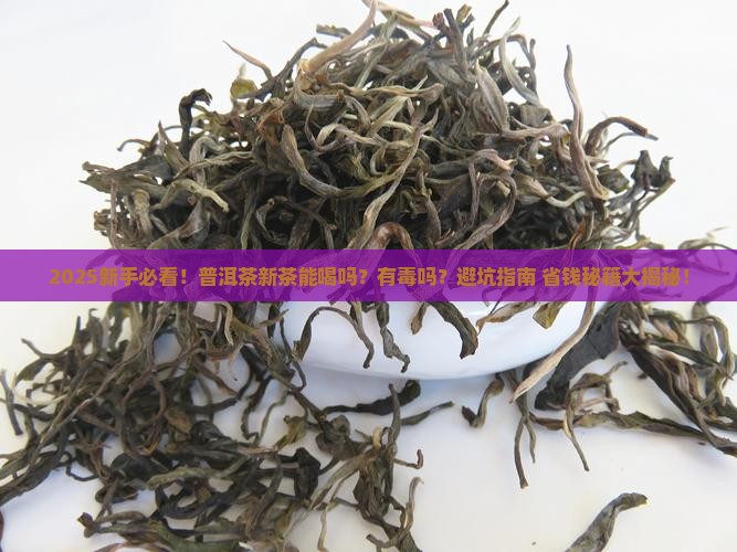 普洱茶新茶可以饮用吗有毒吗