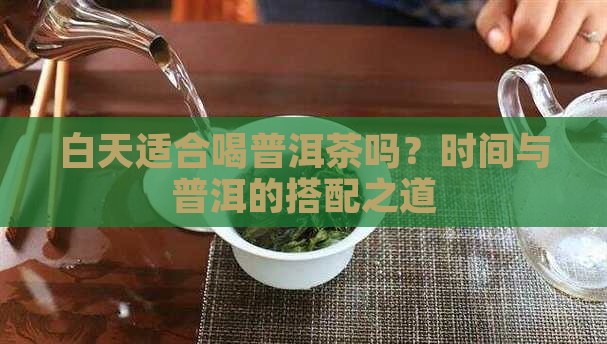 白天适合喝普洱茶吗